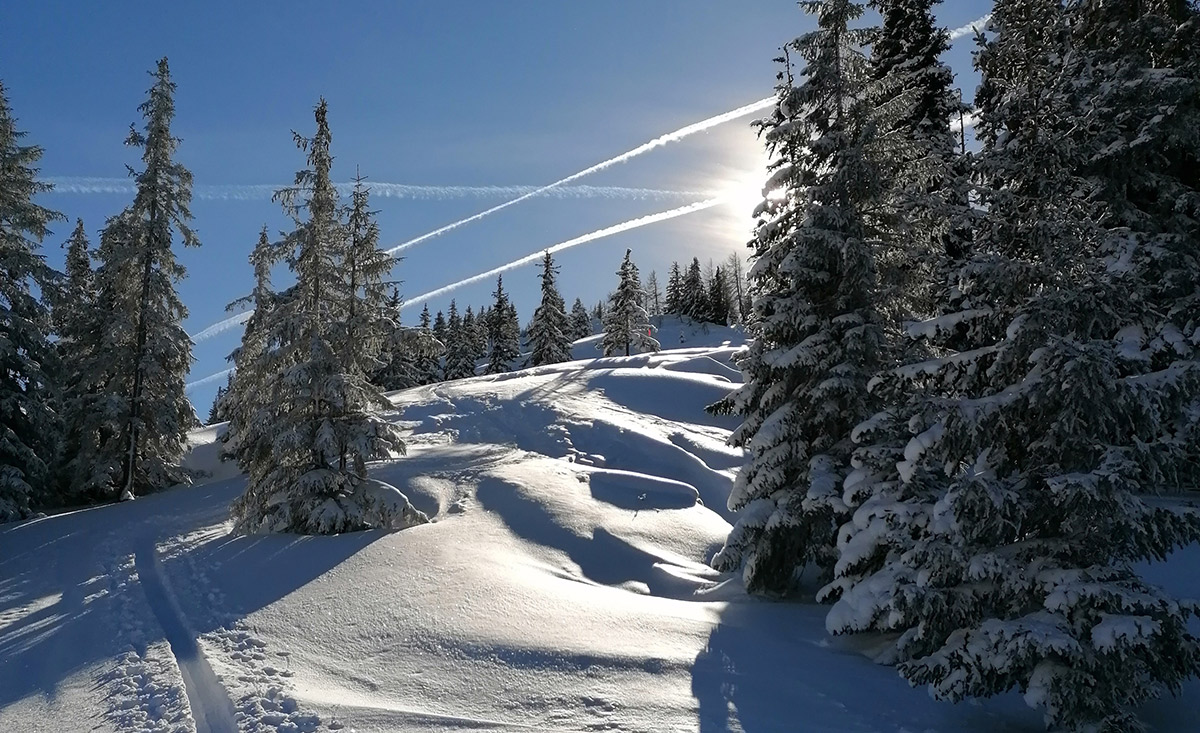 Skitouren gehen - dann Steak abholen